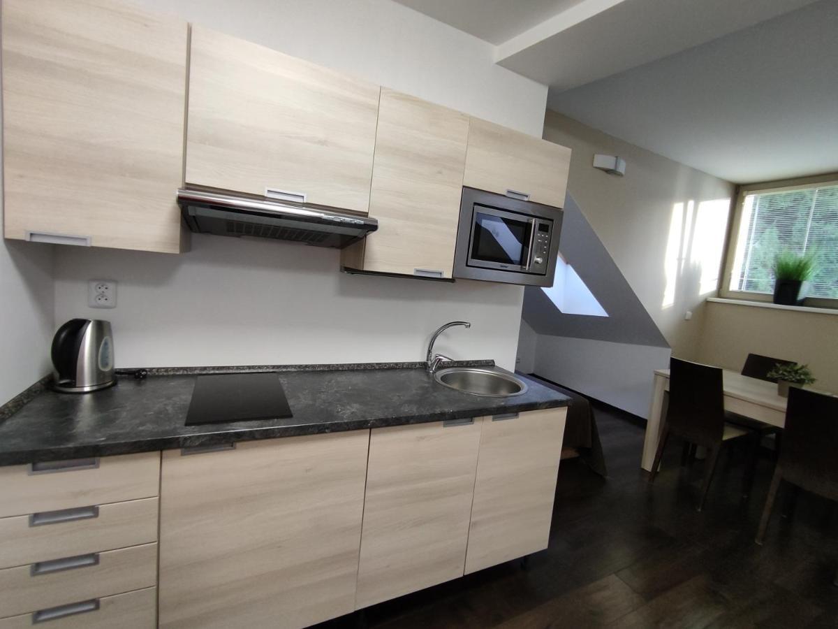 Anensky Apartman C303 - S O2 Tv A Stabilni Rychlou Wifi, S Moznosti Dokoupeni Bufetovych Snidani - By Relax ハルラホフ エクステリア 写真